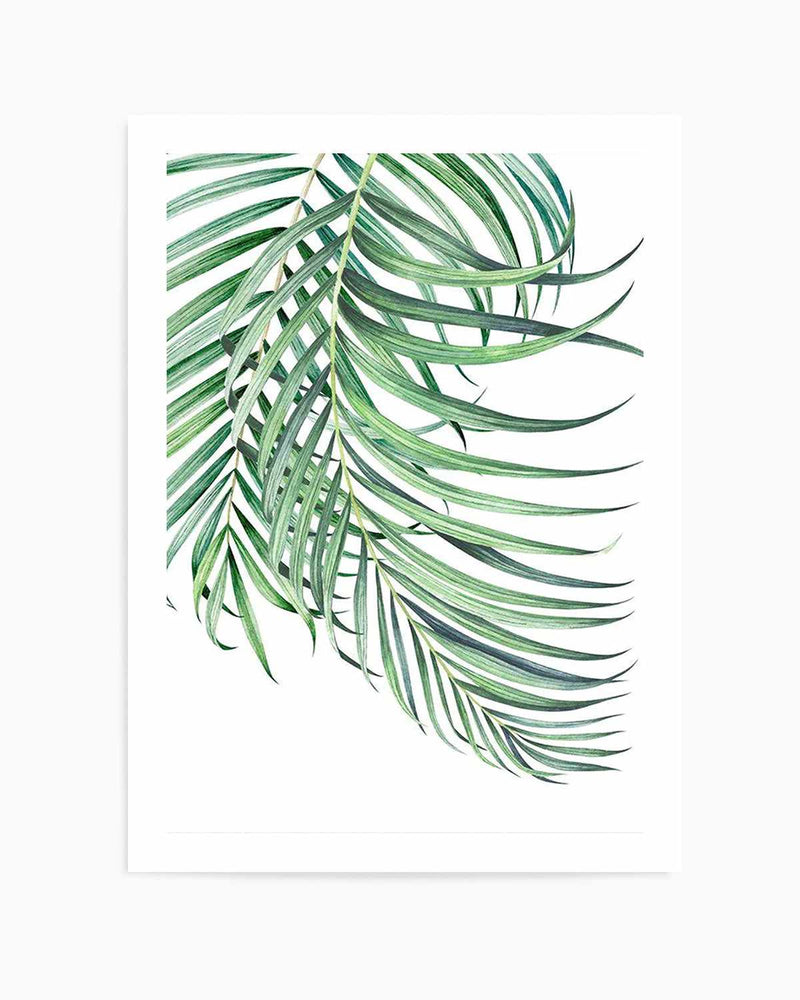 Watercolour Palms I   Art Print