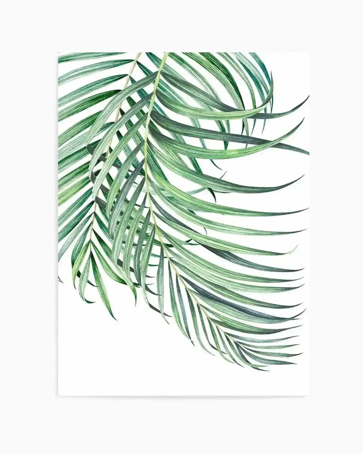 Watercolour Palms I Art Print from Olive et Oriel where you can shop wallpaper and artworks online