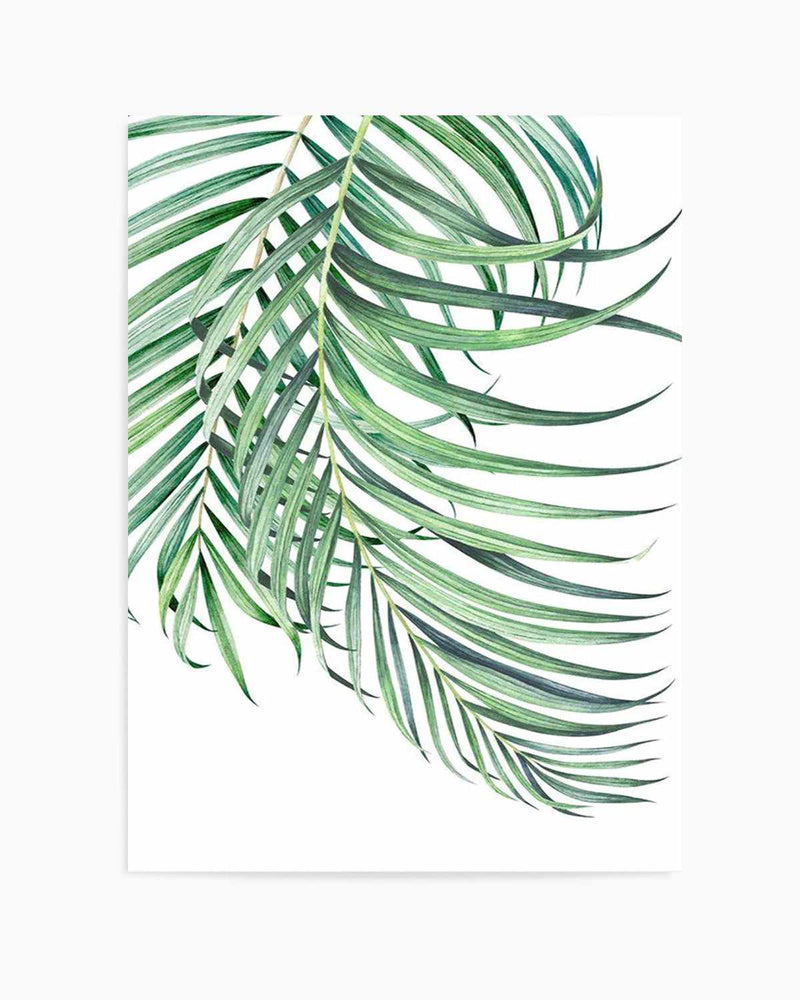 Watercolour Palms I   Art Print