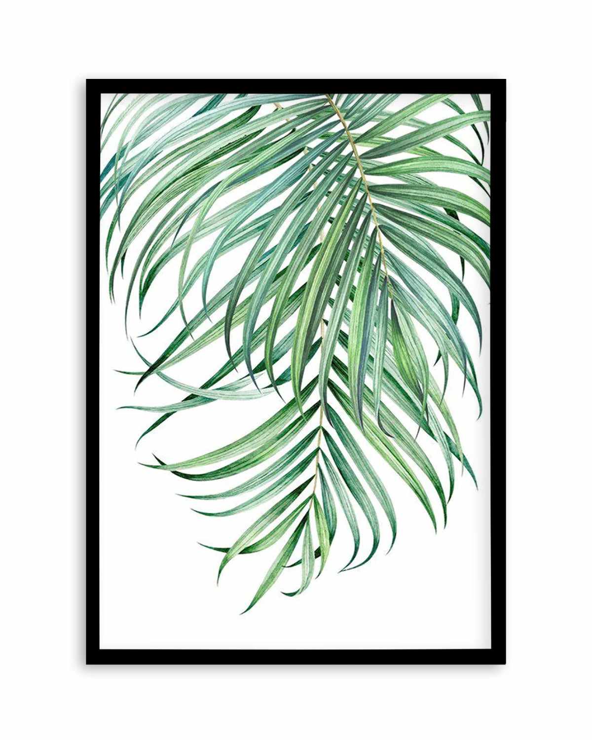 Watercolour Palms II   Art Print