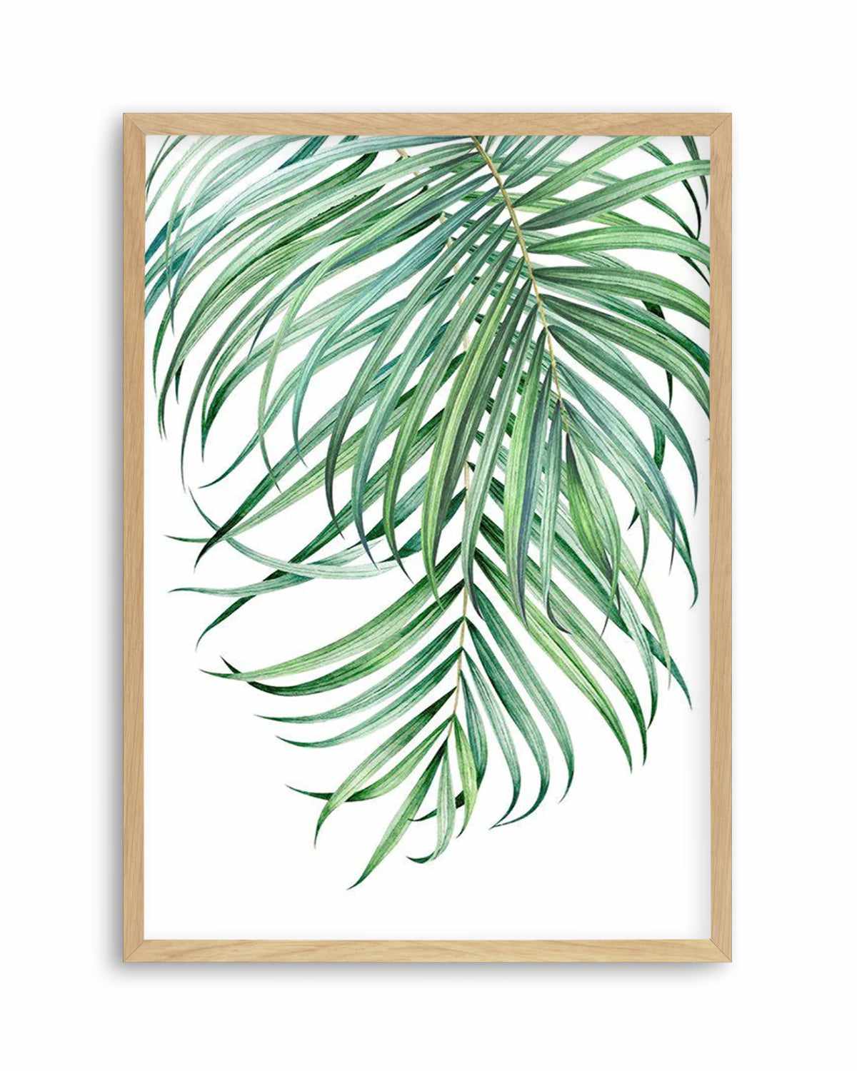 Watercolour Palms II   Art Print