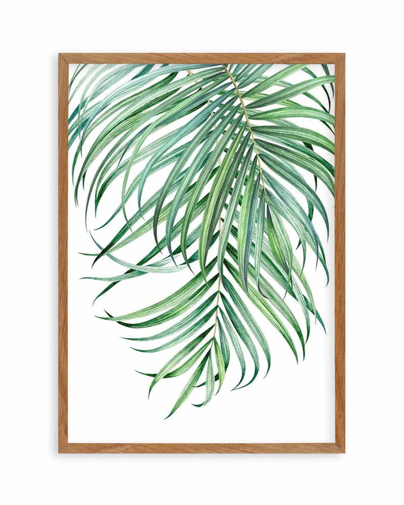 Watercolour Palms II   Art Print