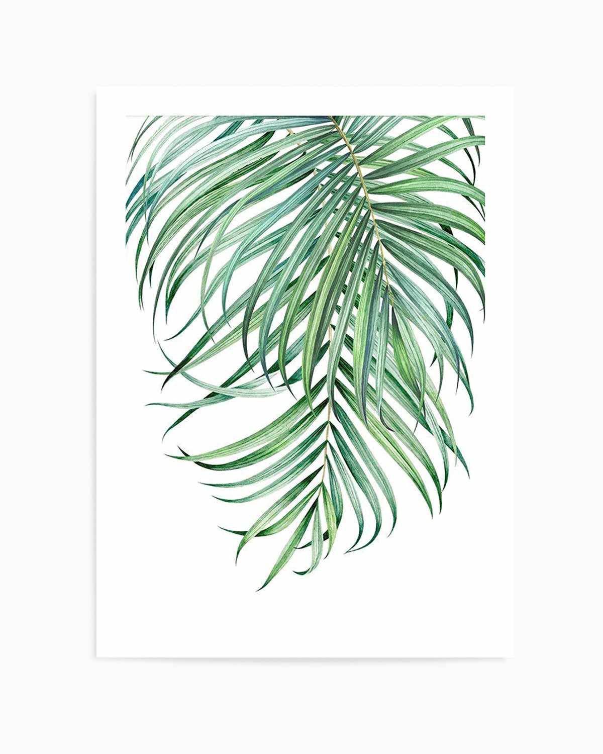 Watercolour Palms II   Art Print