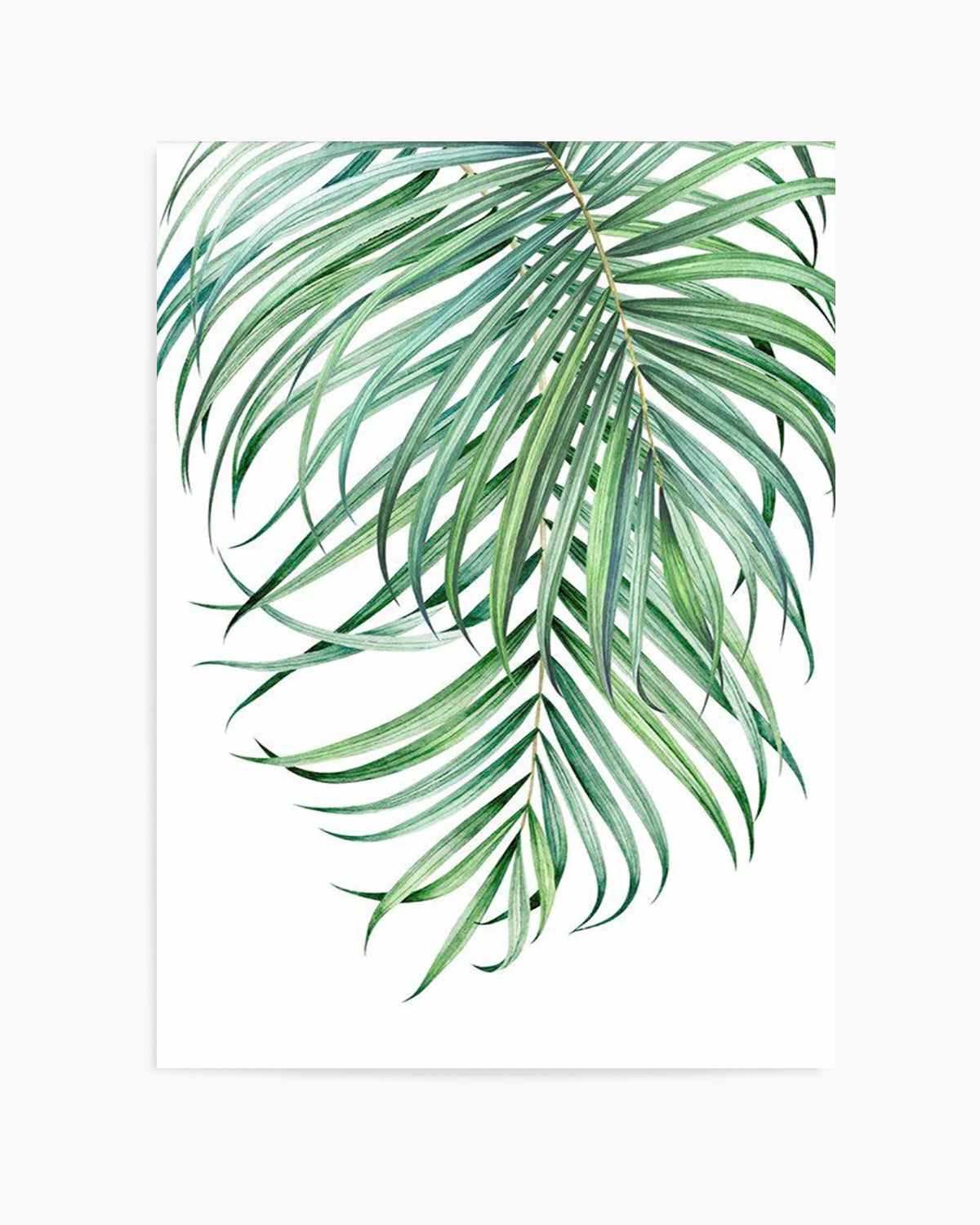 Watercolour Palms II   Art Print