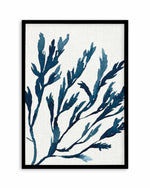 Watercolour Seagrass I Art Print