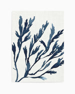 Watercolour Seagrass I Art Print