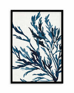 Watercolour Seagrass III Art Print