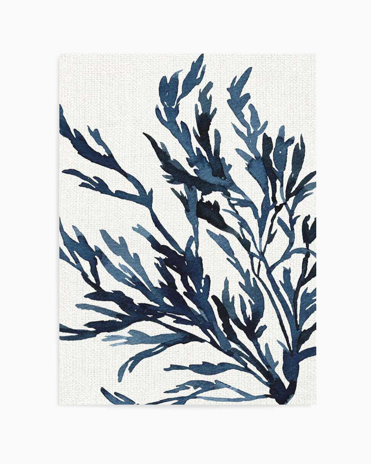 Watercolour Seagrass III Art Print