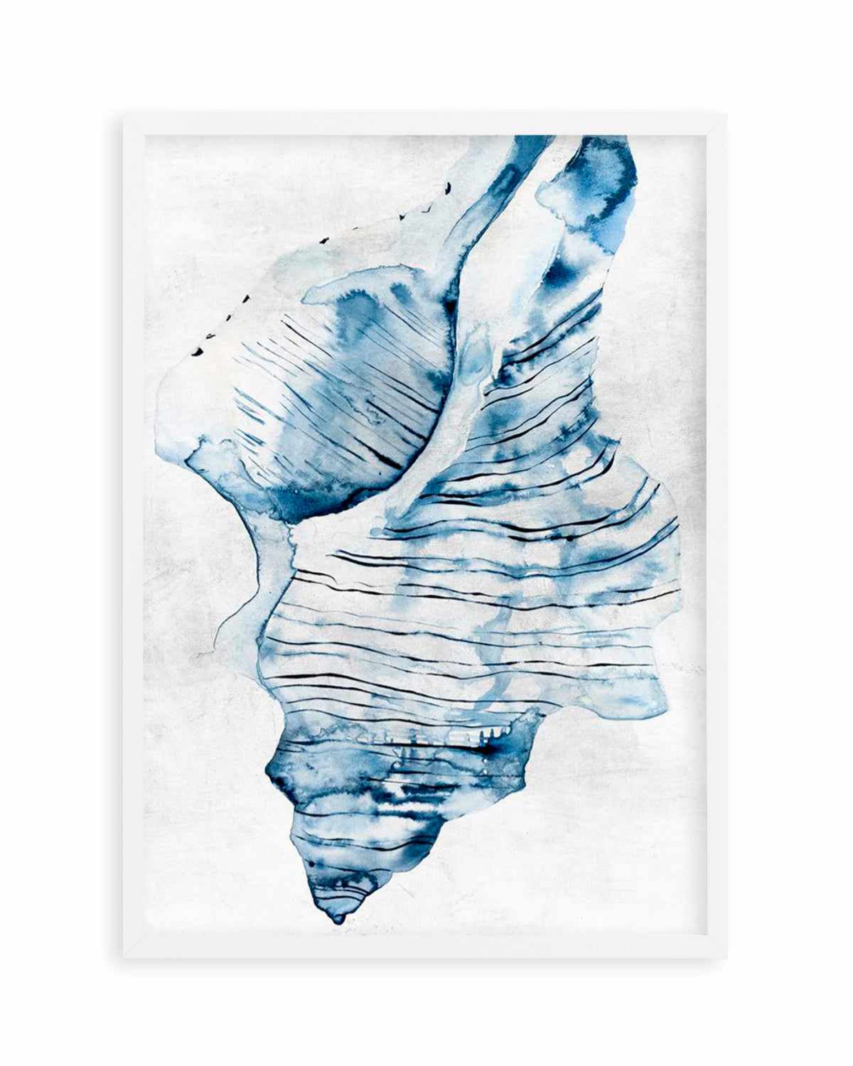 Watercolour Shell I Art Print