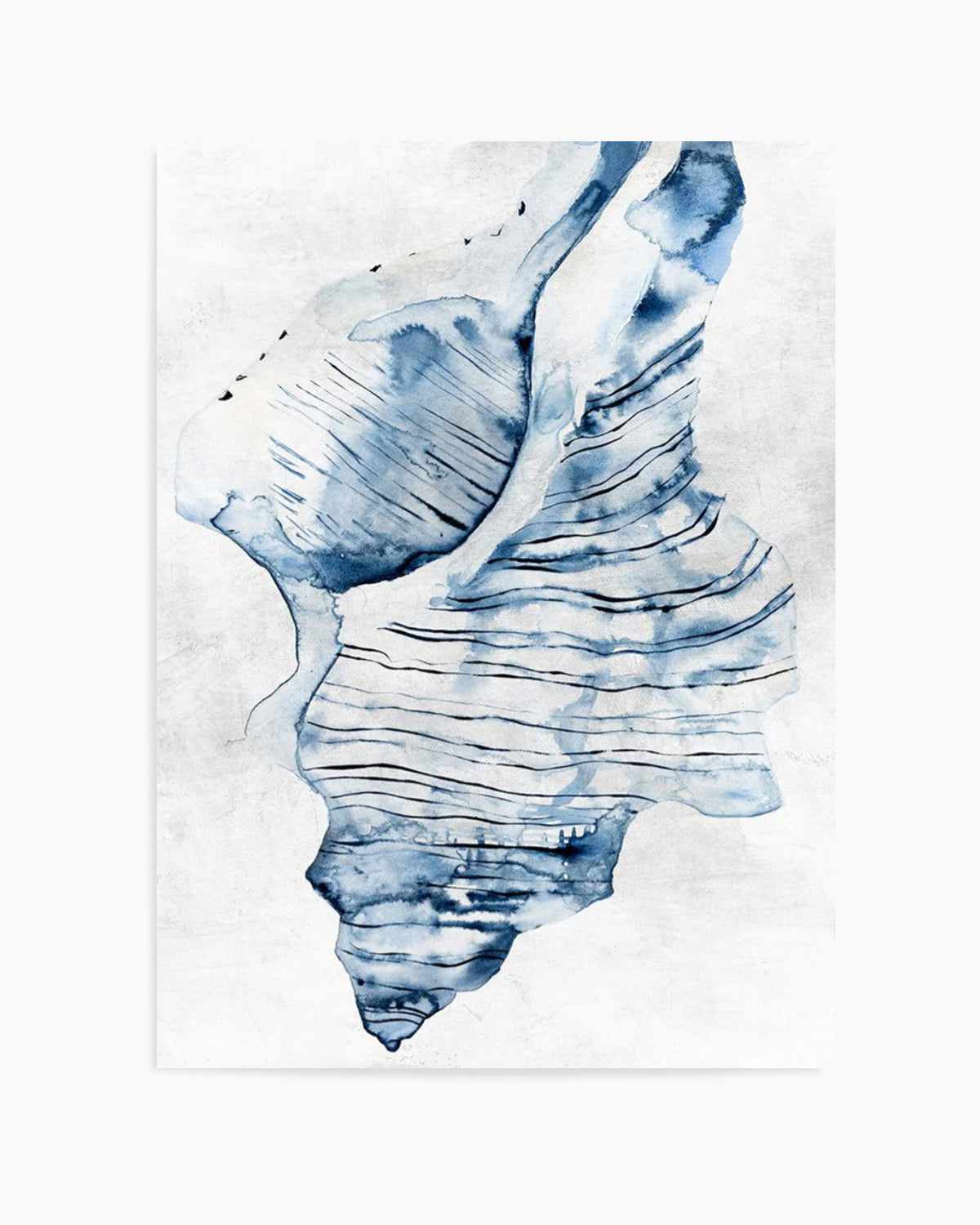 Watercolour Shell I Art Print