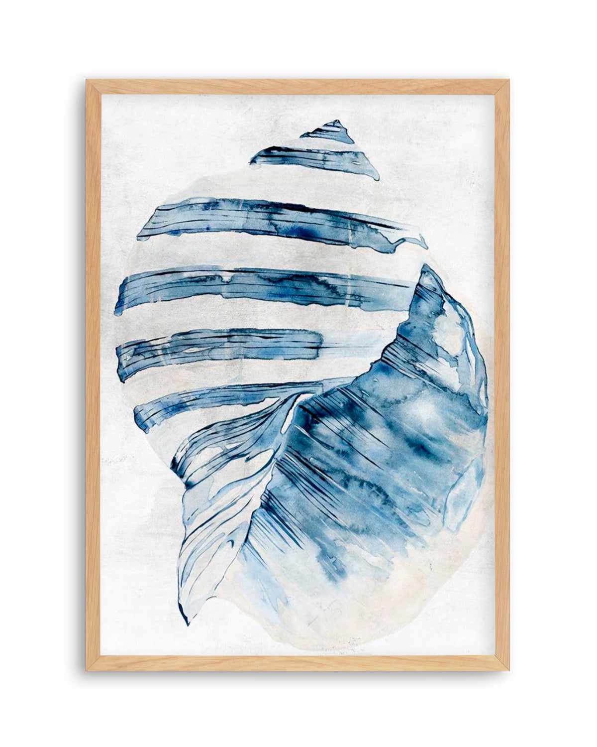 Watercolour Shell II Art Print