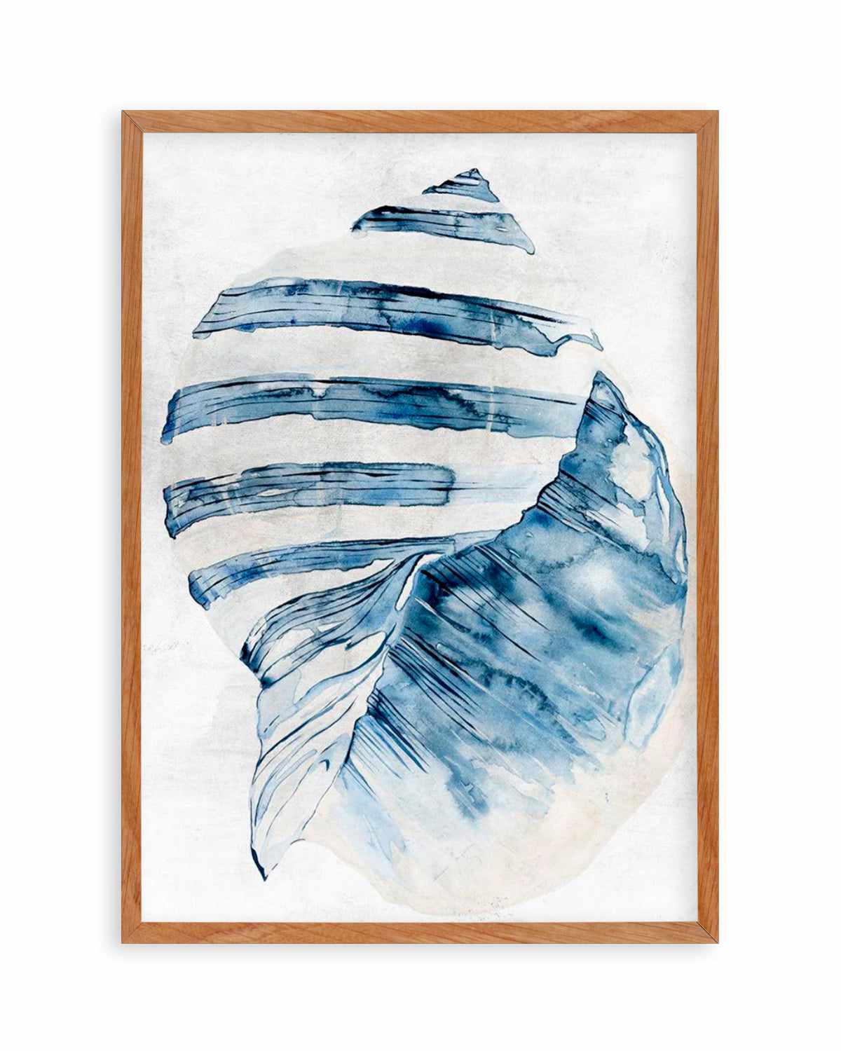 Watercolour Shell II Art Print