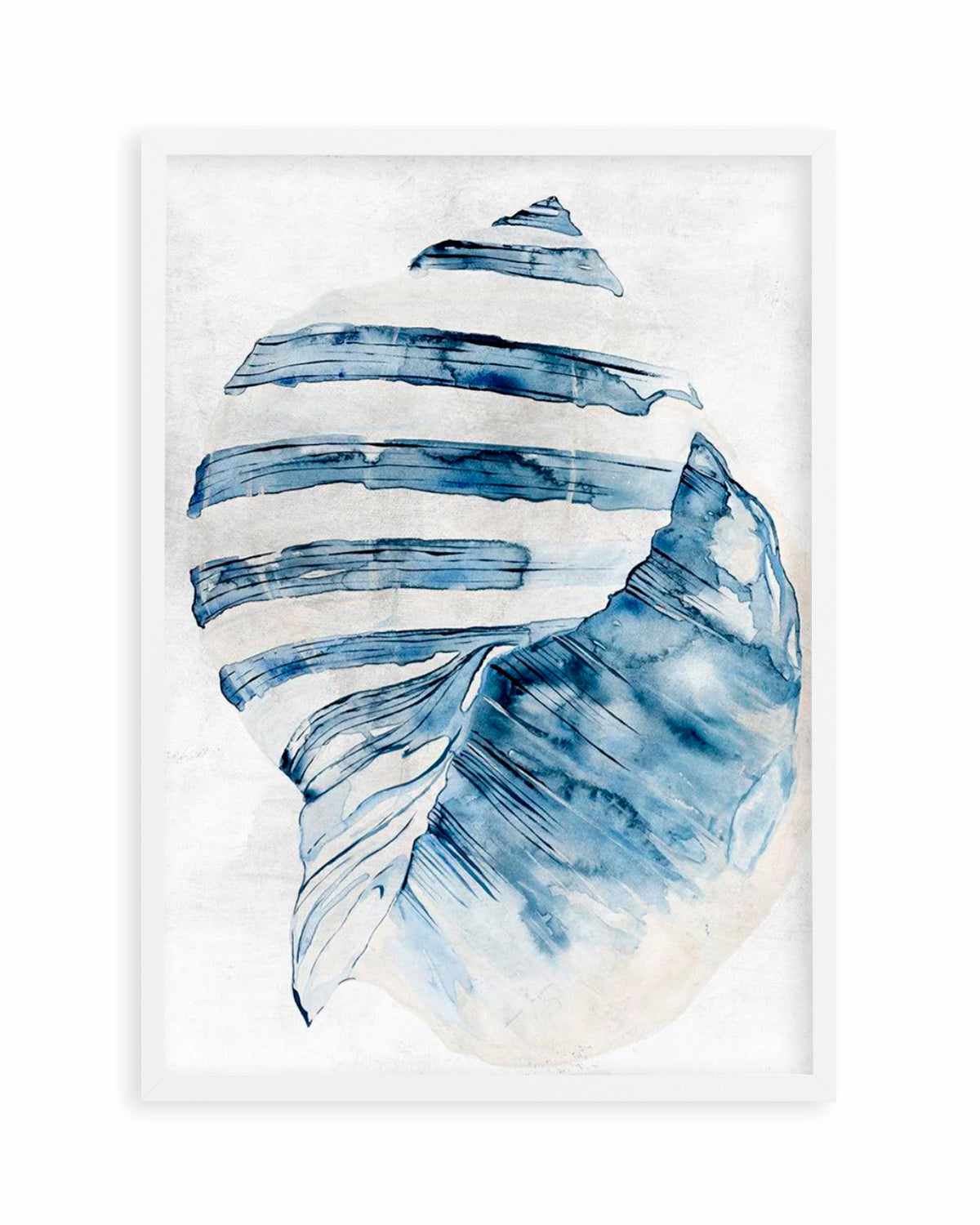 Watercolour Shell II Art Print