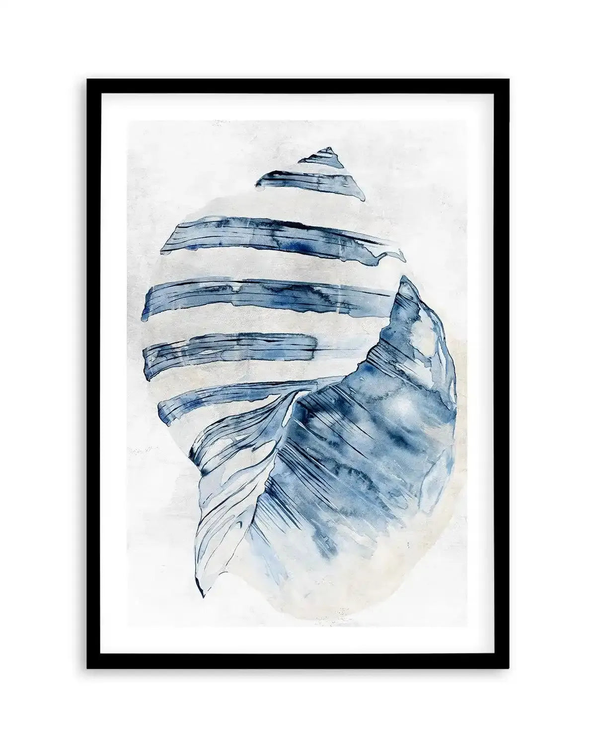 Watercolour Shell II Art Print-PRINT-Olive et Oriel-Olive et Oriel-A5 | 5.8" x 8.3" | 14.8 x 21cm-Black-With White Border-Buy-Australian-Art-Prints-Online-with-Olive-et-Oriel-Your-Artwork-Specialists-Austrailia-Decorate-With-Coastal-Photo-Wall-Art-Prints-From-Our-Beach-House-Artwork-Collection-Fine-Poster-and-Framed-Artwork