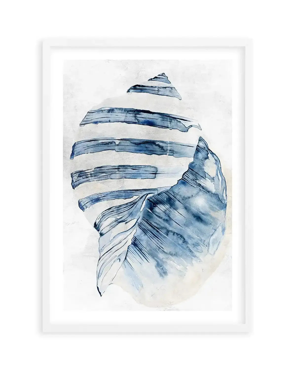 Watercolour Shell II Art Print-PRINT-Olive et Oriel-Olive et Oriel-A5 | 5.8" x 8.3" | 14.8 x 21cm-White-With White Border-Buy-Australian-Art-Prints-Online-with-Olive-et-Oriel-Your-Artwork-Specialists-Austrailia-Decorate-With-Coastal-Photo-Wall-Art-Prints-From-Our-Beach-House-Artwork-Collection-Fine-Poster-and-Framed-Artwork