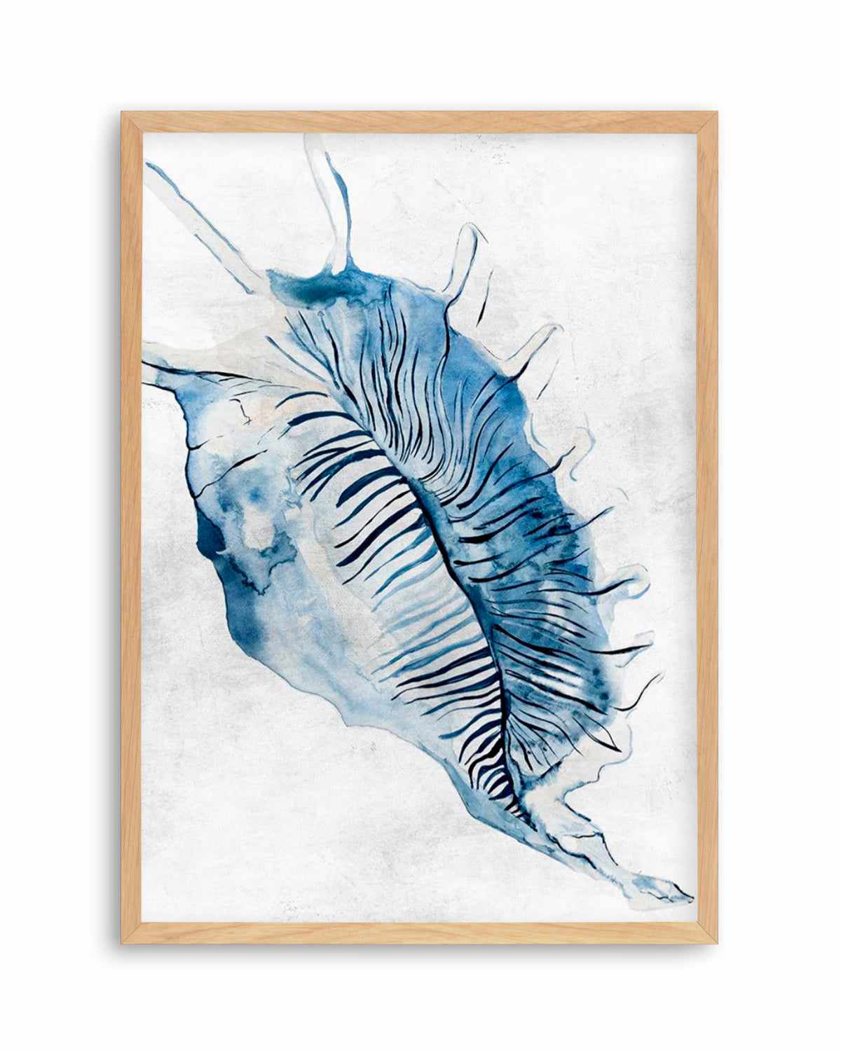 Watercolour Shell III Art Print