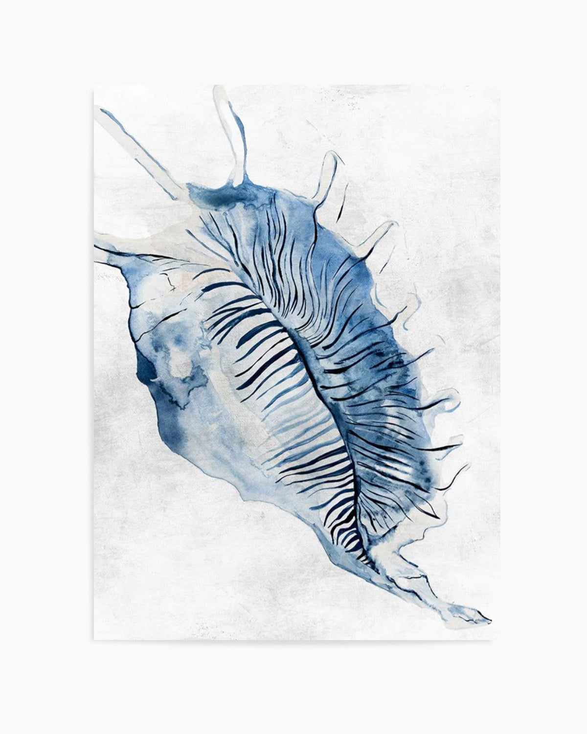 Watercolour Shell III Art Print