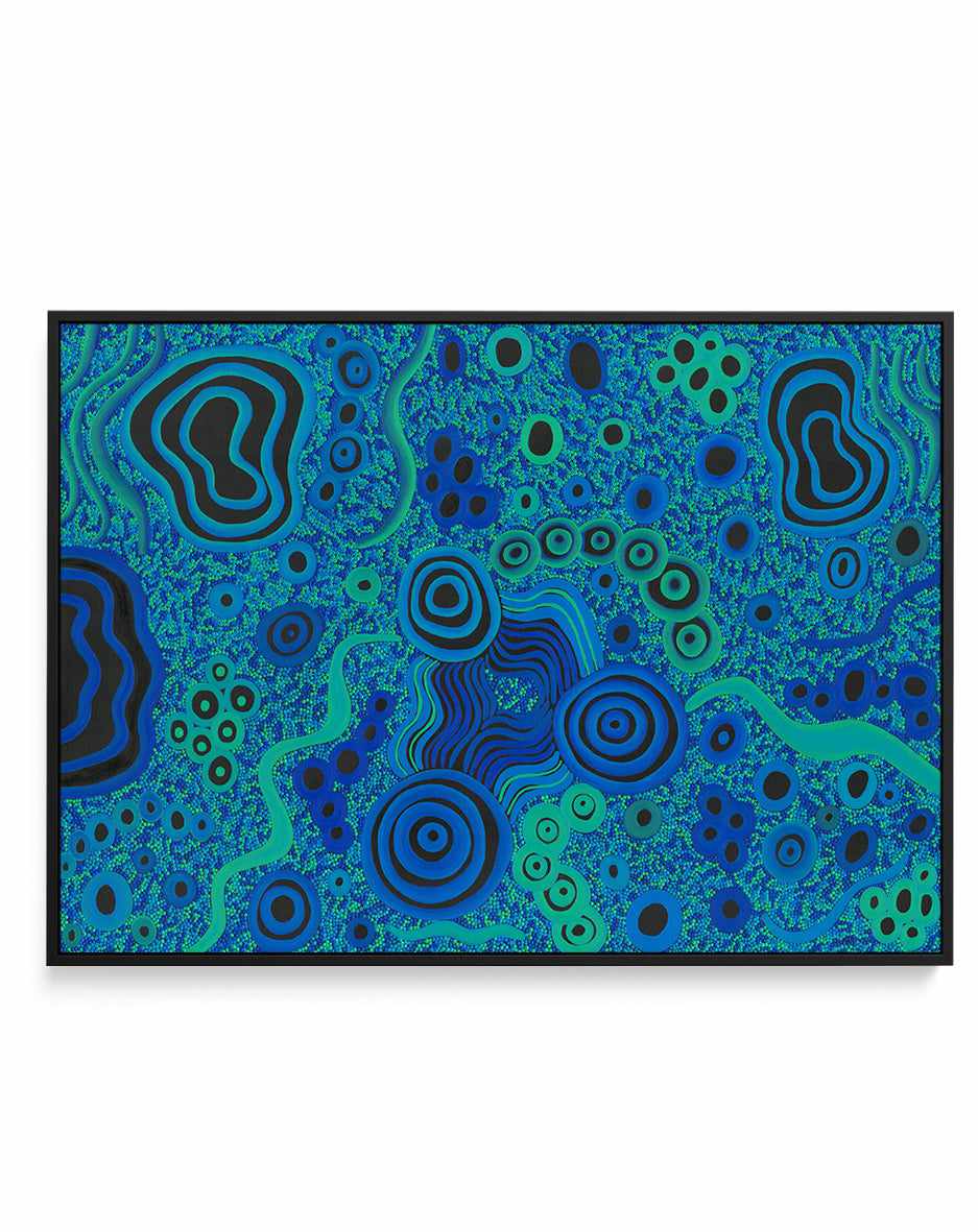 Waterholes by Bianka Carson | Framed Canvas Art Print