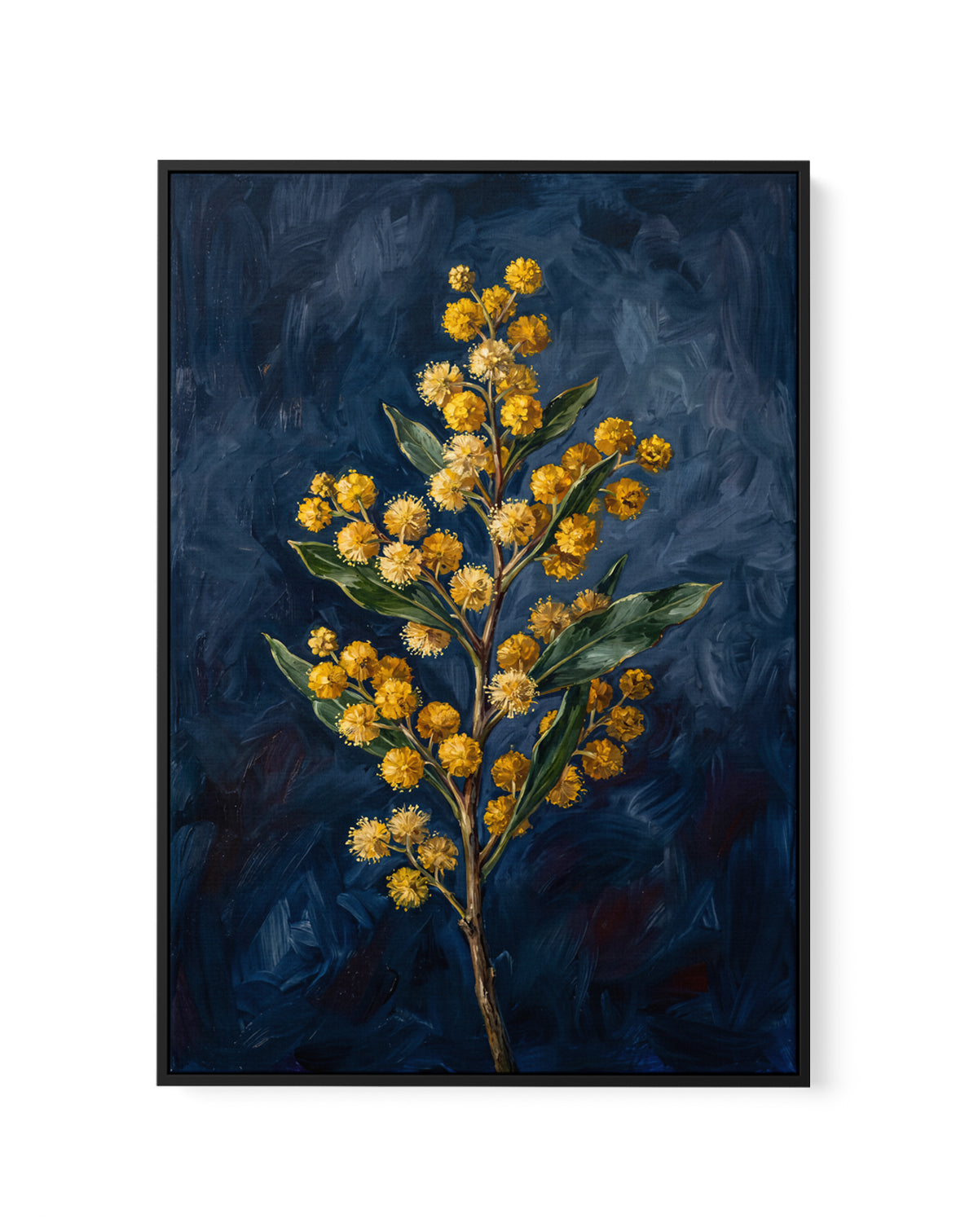 Wattle On Navy Botanicals Study | Framed Canvas Art Print