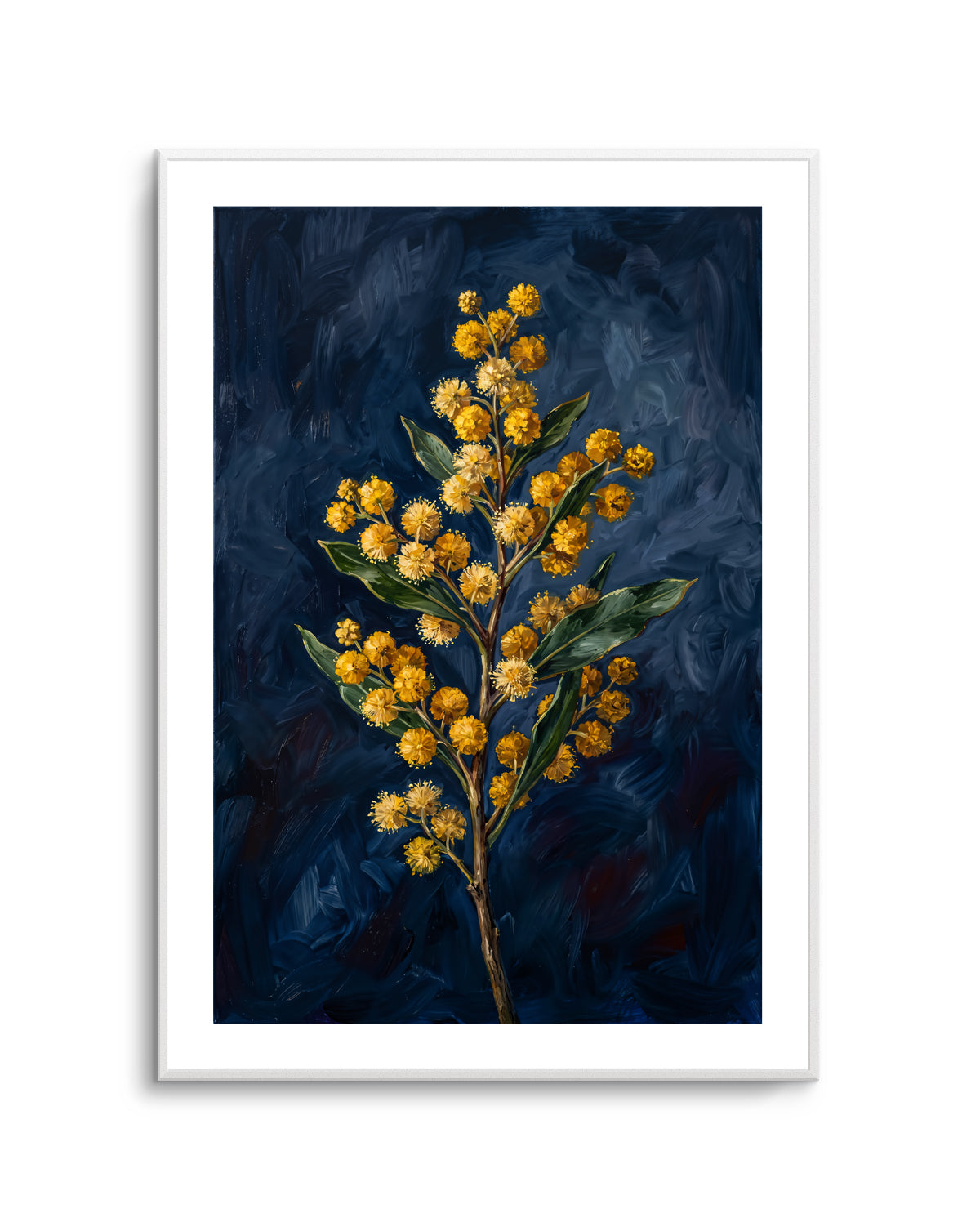 Wattle On Navy Botanicals Study | Art Print