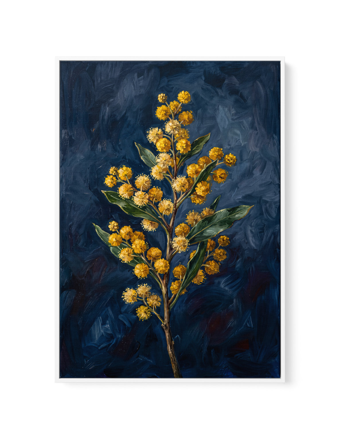 Wattle On Navy Botanicals Study | Framed Canvas Art Print