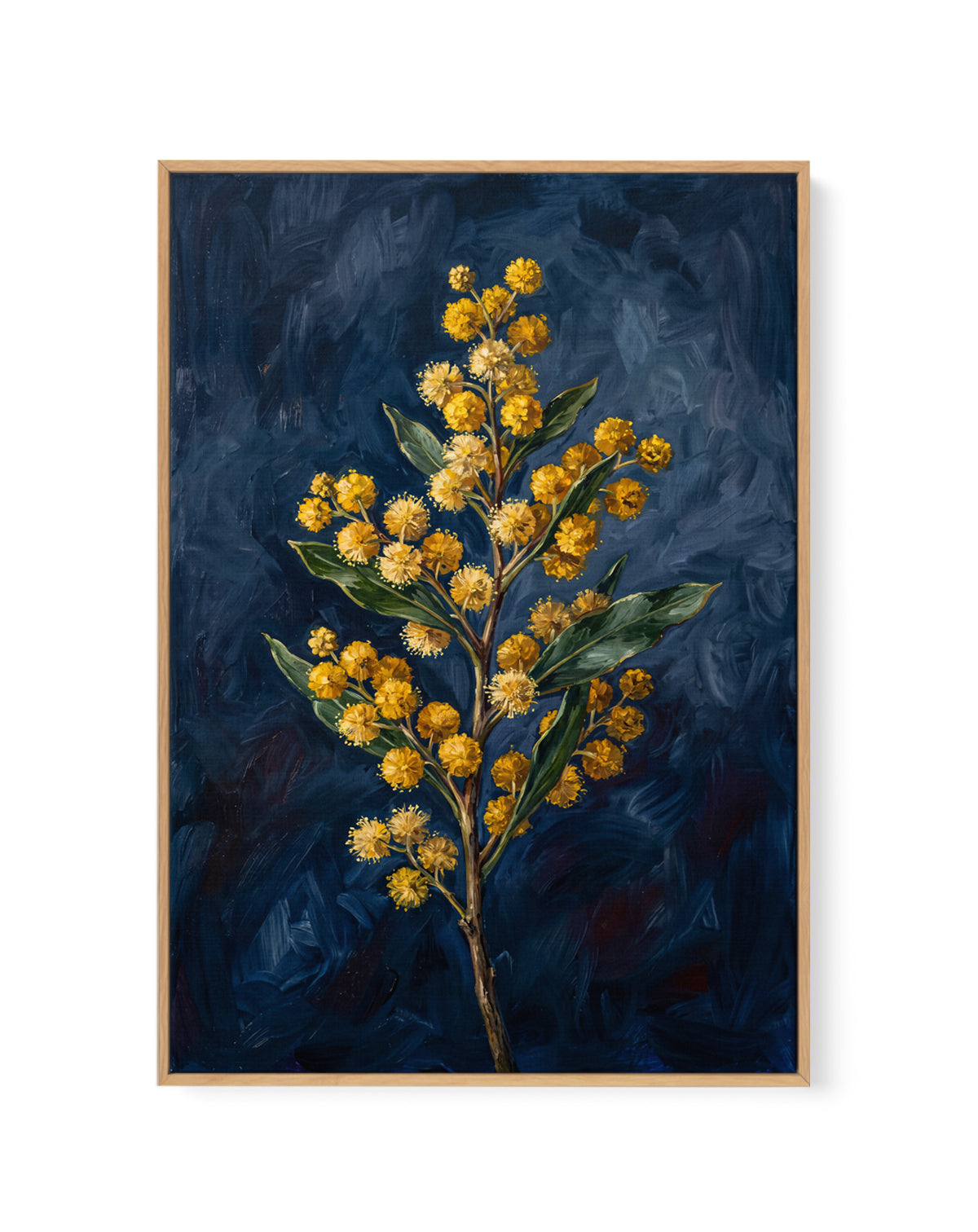 Wattle On Navy Botanicals Study | Framed Canvas Art Print