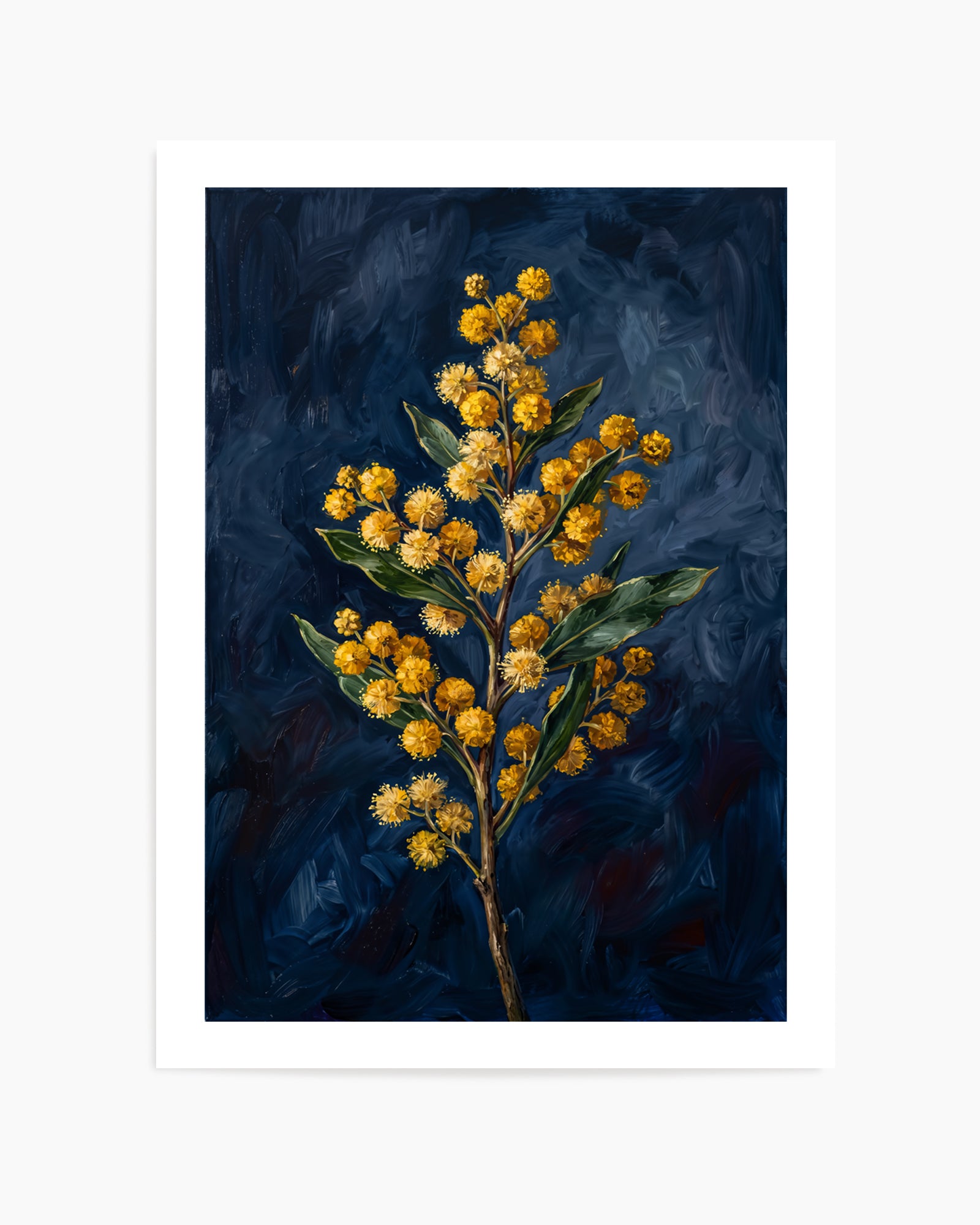 Wattle On Navy Botanicals Study | Art Print