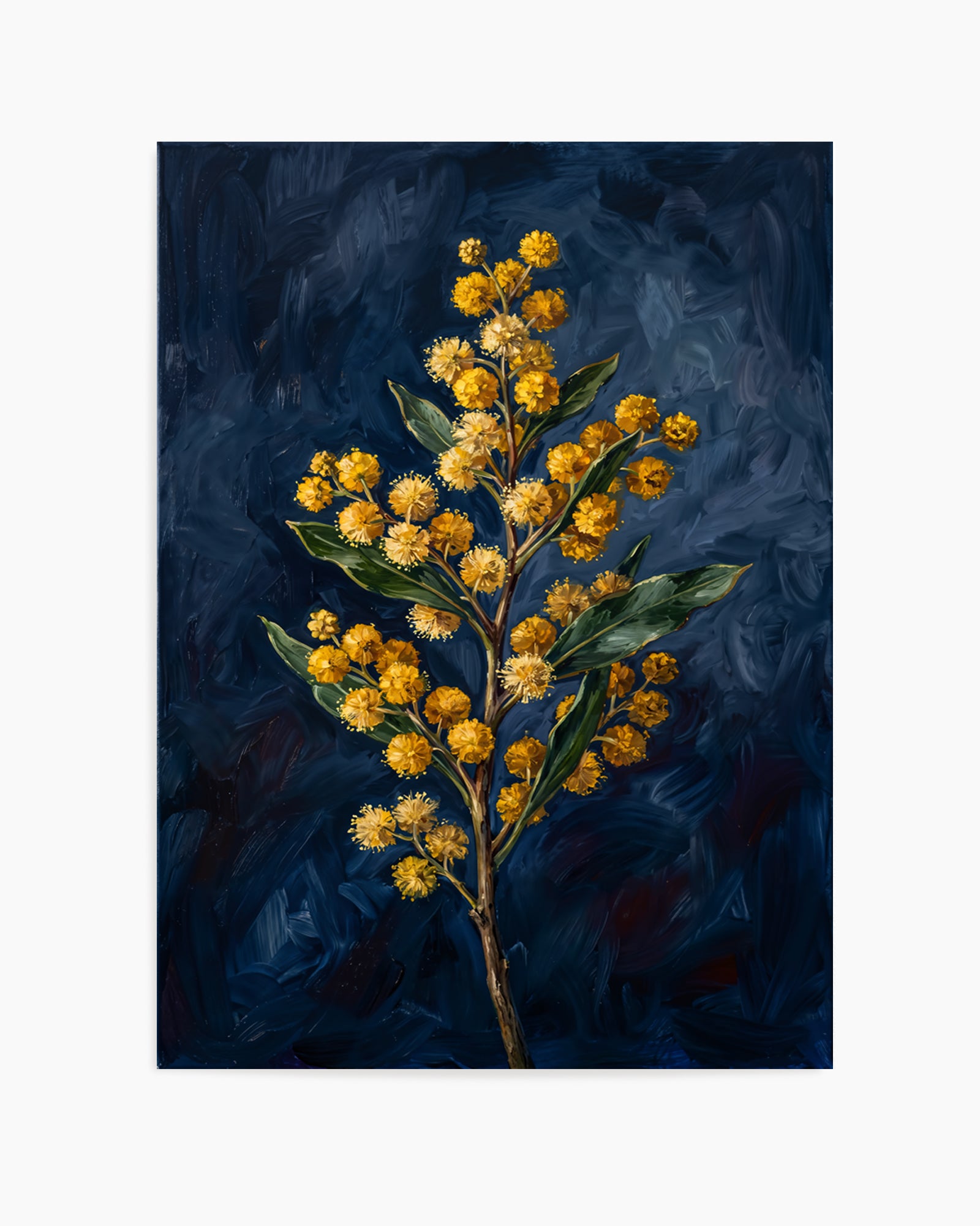 Wattle On Navy Botanicals Study | Art Print