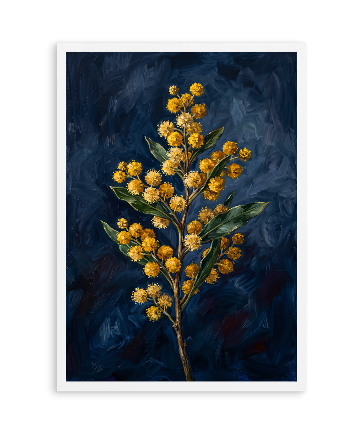 Wattle On Navy Botanicals Study | Art Print