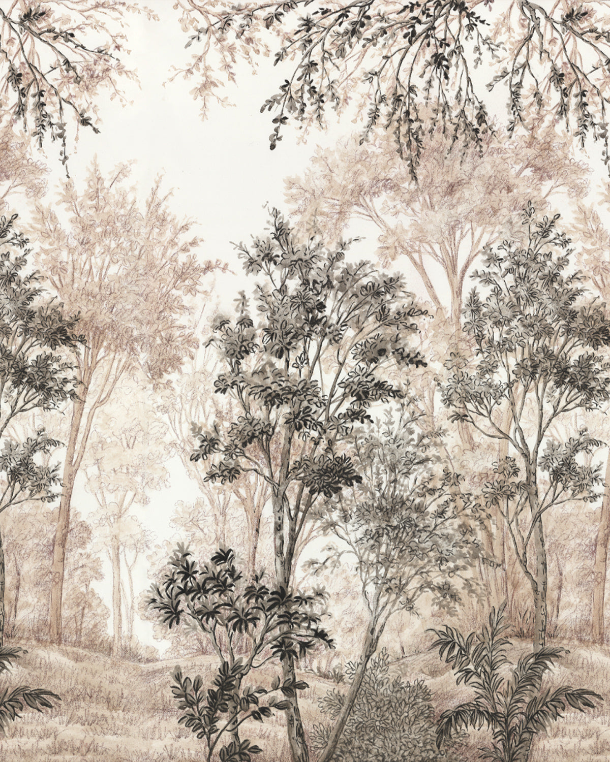 Wattle & Mist Panoramic Mural in Mushroom & Charcoal Wallpaper