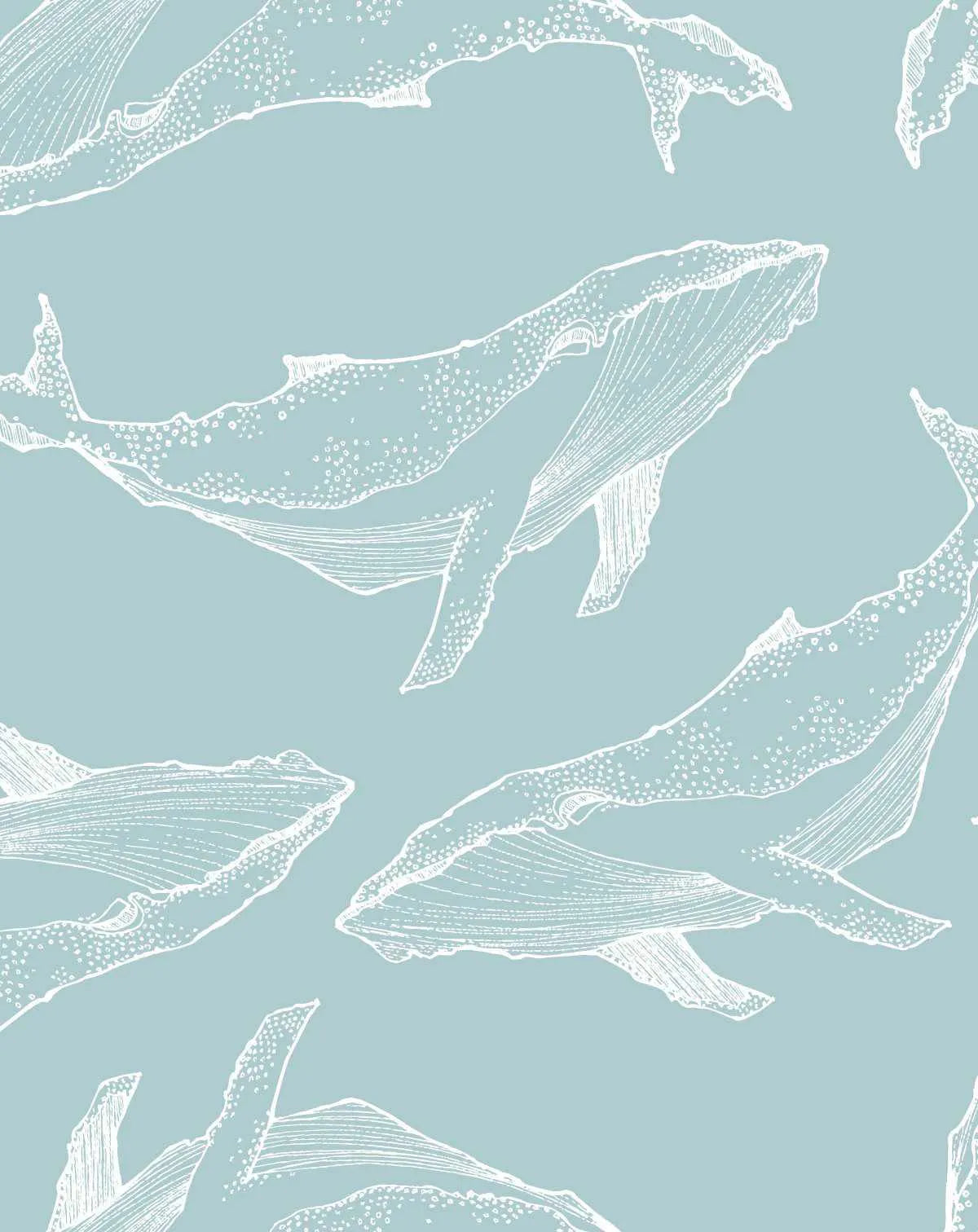 Whale Illustration | Seafoam Wallpaper-Wallpaper-Buy Kids Removable Wallpaper Online Our Custom Made Children√¢‚Ç¨‚Ñ¢s Wallpapers Are A Fun Way To Decorate And Enhance Boys Bedroom Decor And Girls Bedrooms They Are An Amazing Addition To Your Kids Bedroom Walls Our Collection of Kids Wallpaper Is Sure To Transform Your Kids Rooms Interior Style From Pink Wallpaper To Dinosaur Wallpaper Even Marble Wallpapers For Teen Boys Shop Peel And Stick Wallpaper Online Today With Olive et Oriel