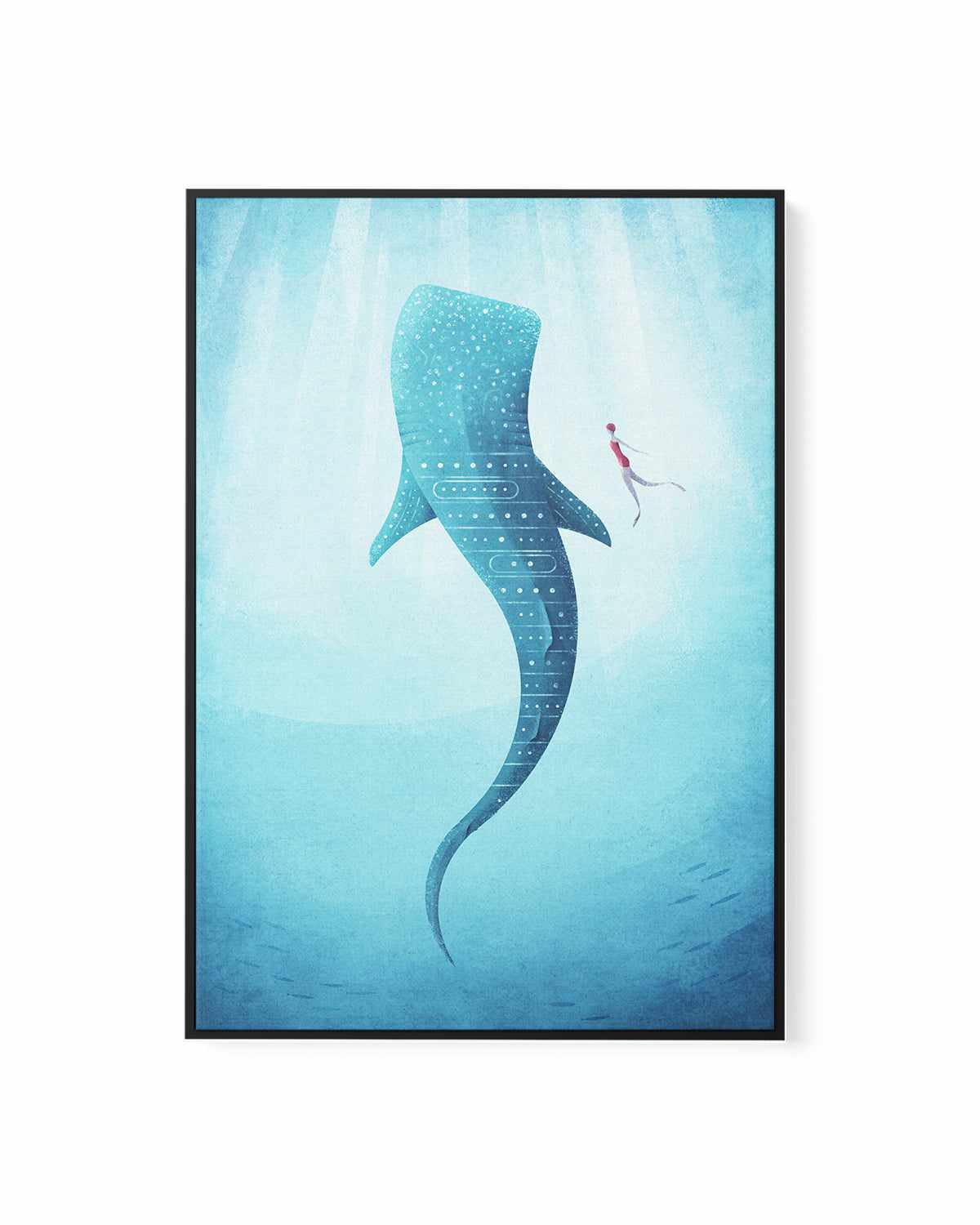 Whale Shark by Henry Rivers | Framed Canvas Art Print