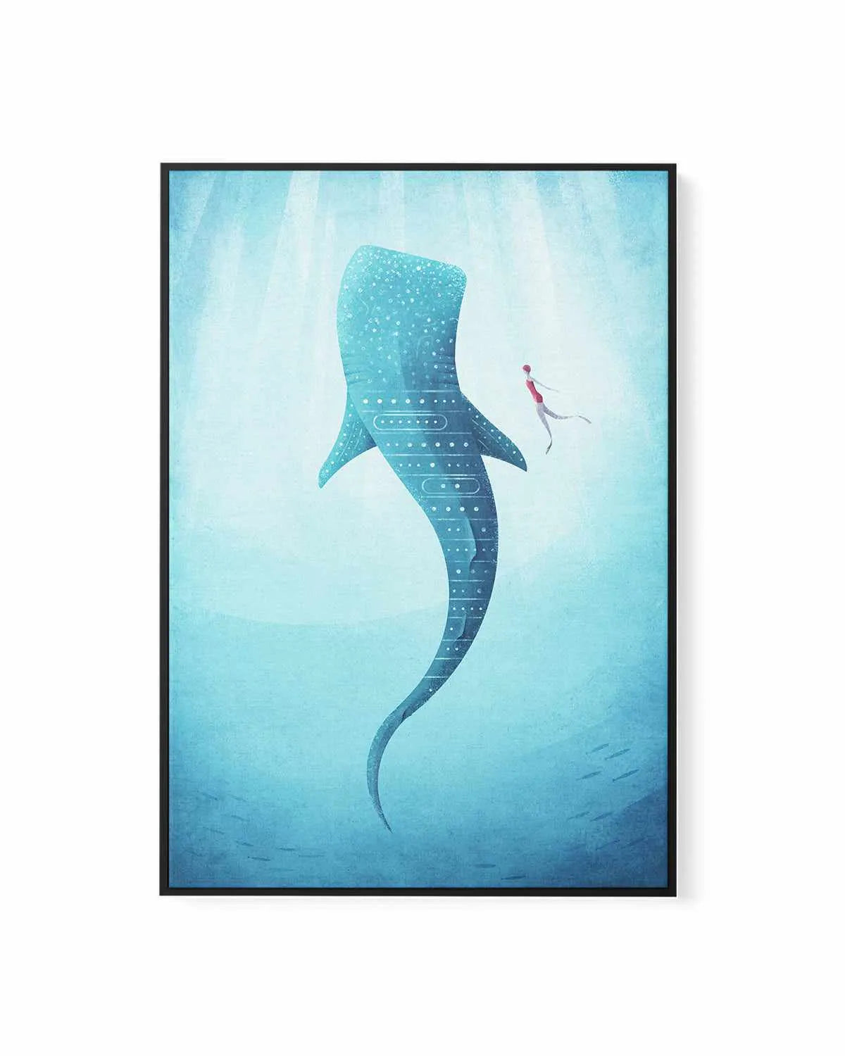 Whale Shark by Henry Rivers | Framed Canvas Art Print from Olive et Oriel where you can shop wallpaper and artworks online
