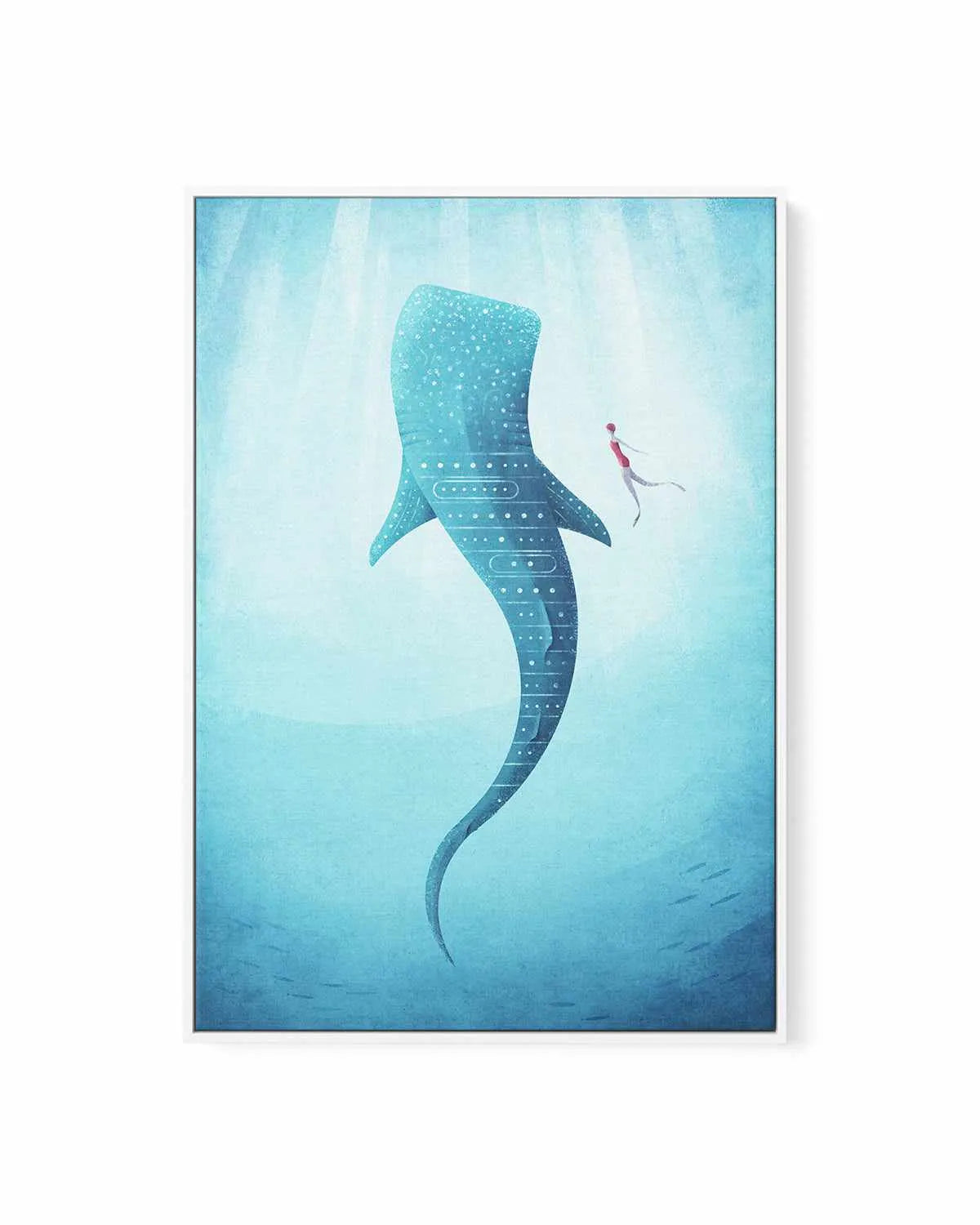 Whale Shark by Henry Rivers | Framed Canvas Art Print from Olive et Oriel where you can shop wallpaper and artworks online