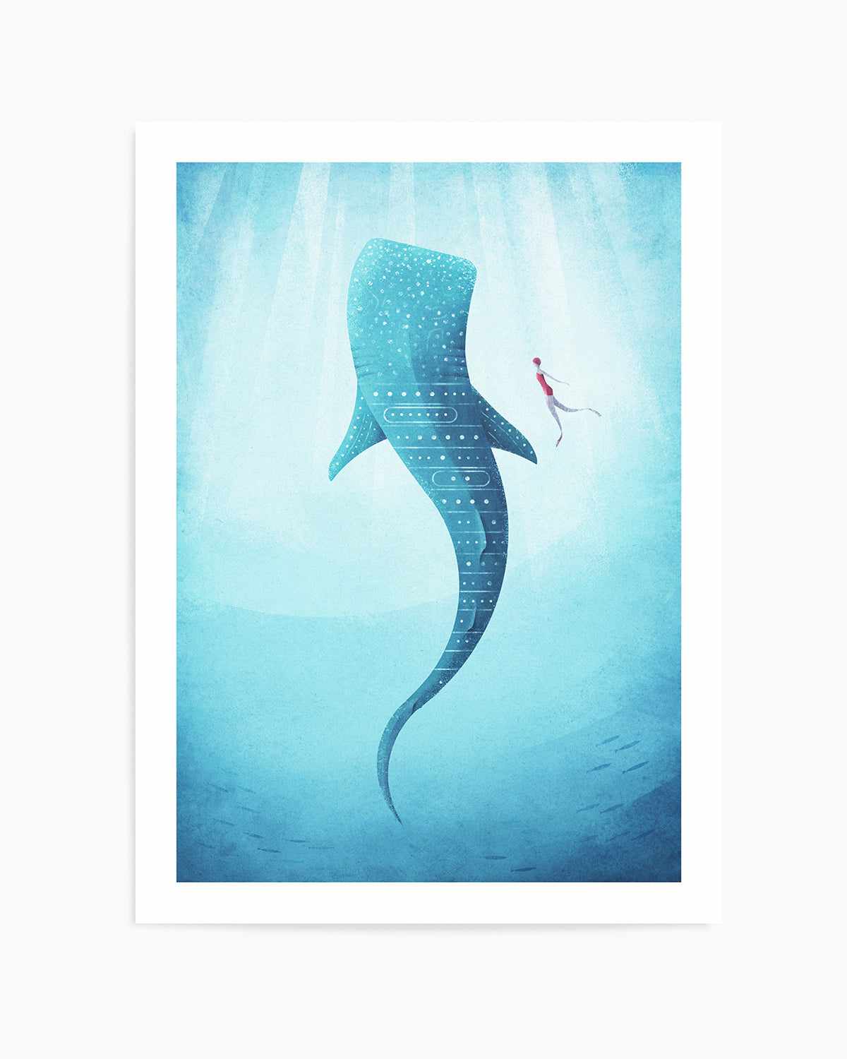 Whale Shark by Henry Rivers Art Print