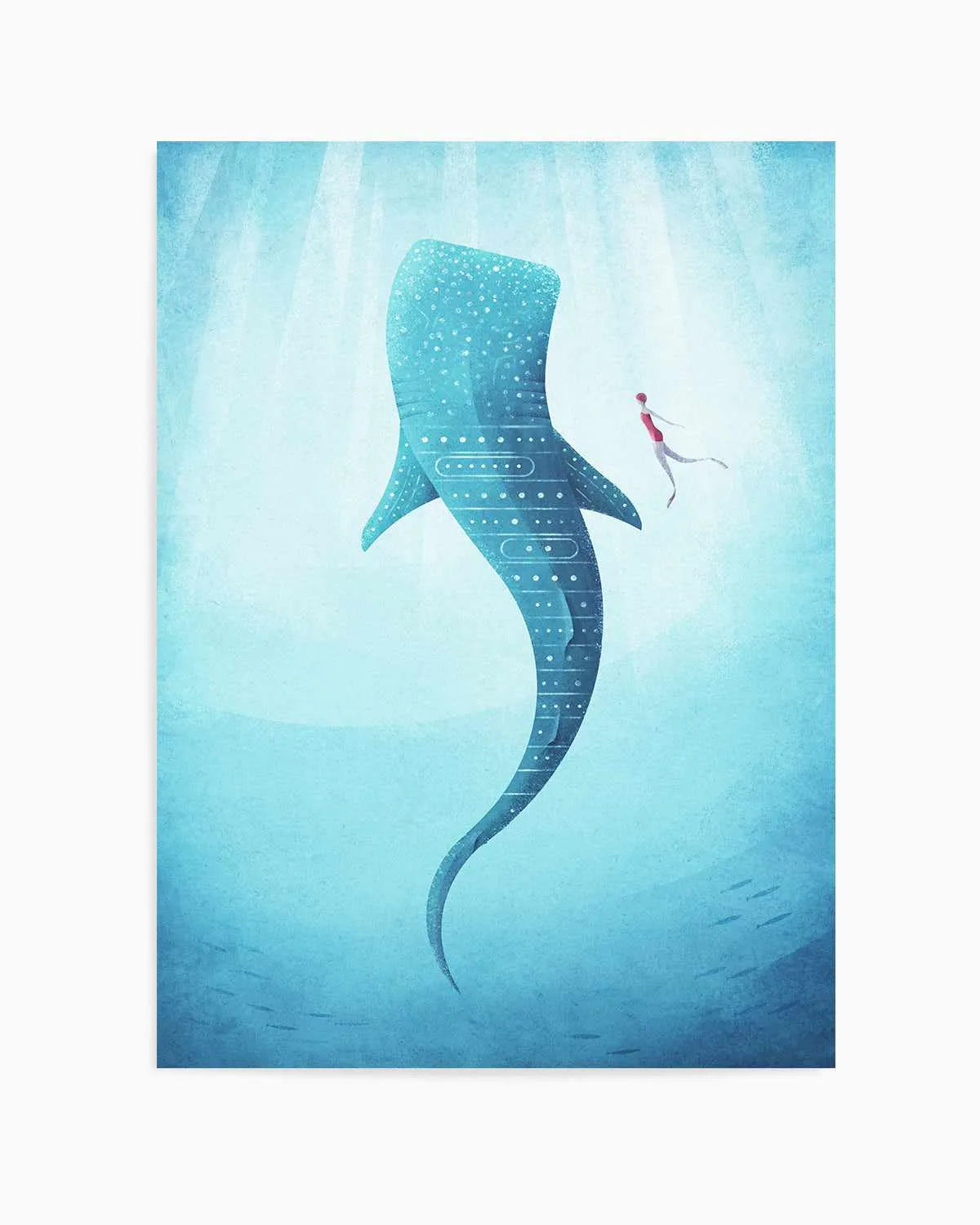 Whale Shark by Henry Rivers Art Print from Olive et Oriel where you can shop wallpaper and artworks online