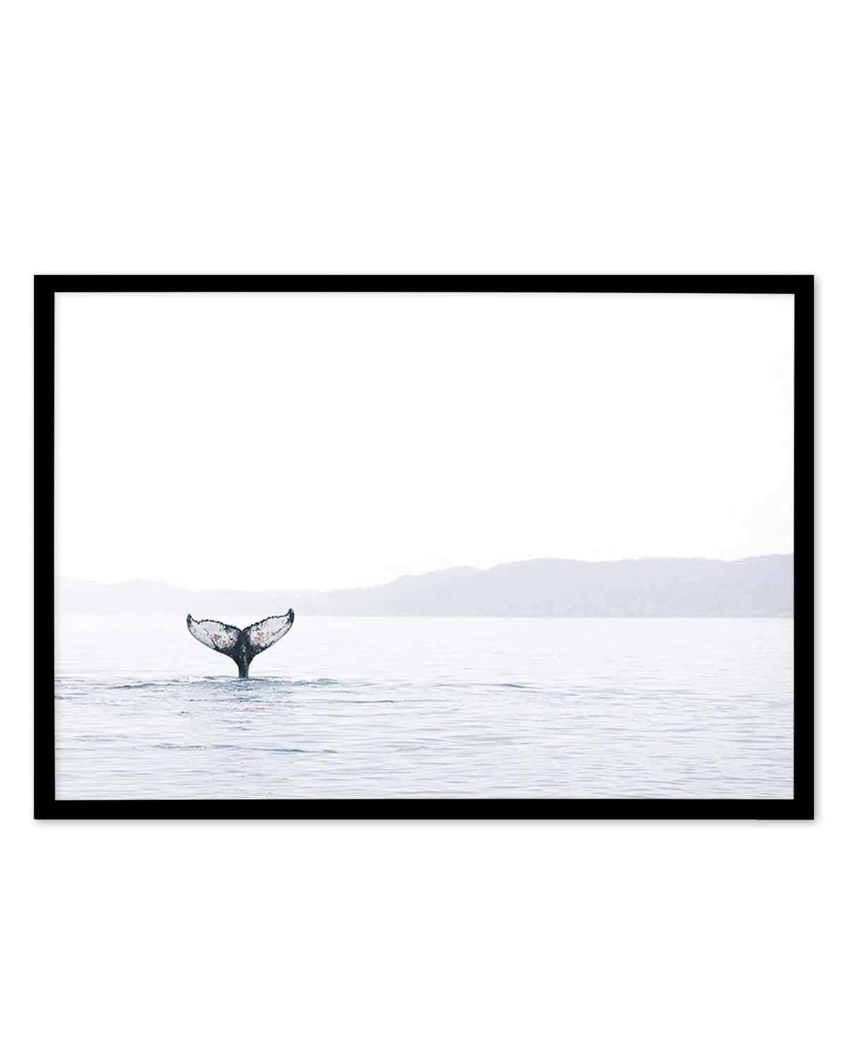 Whale Song Art Print