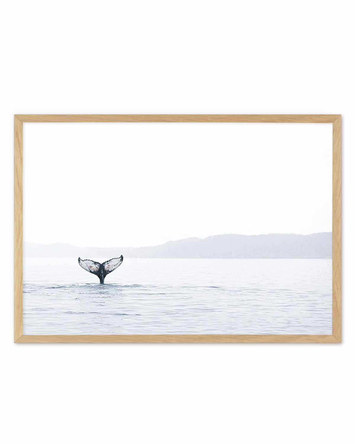 Whale Song Art Print