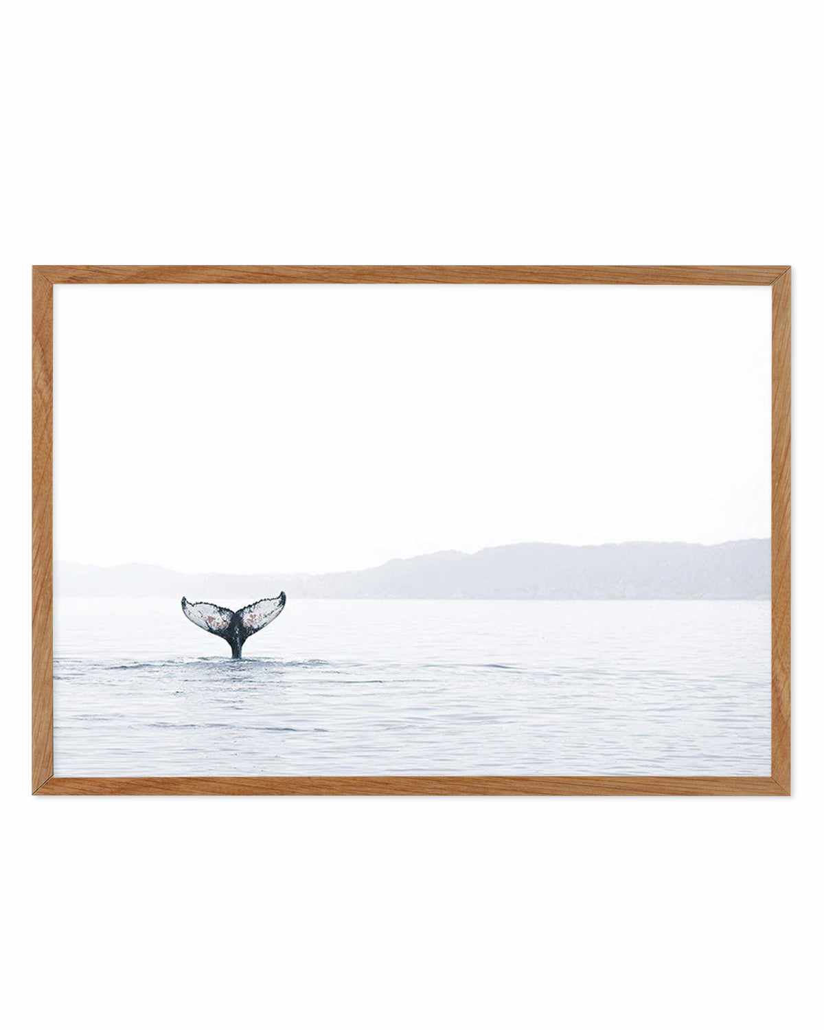 Whale Song Art Print