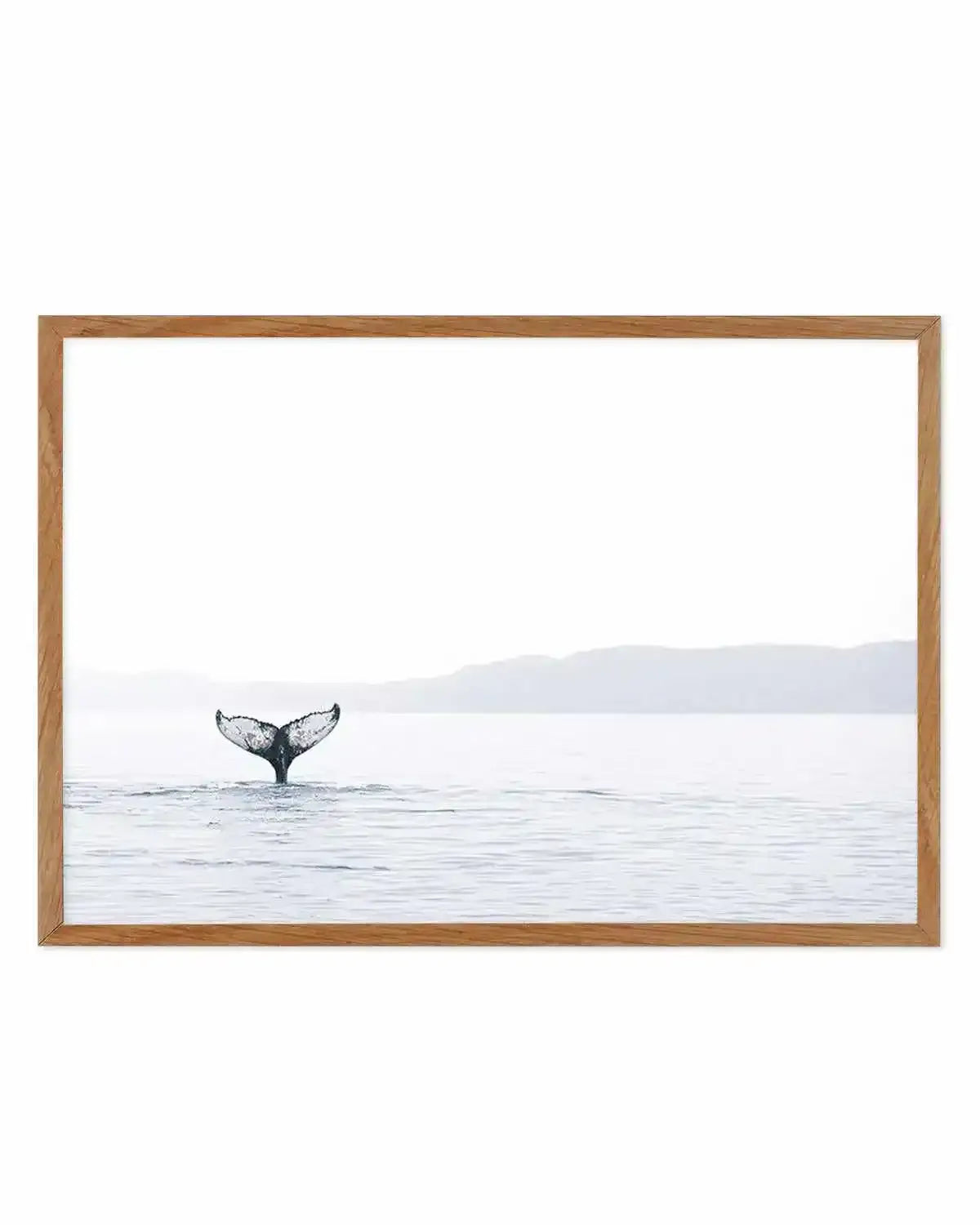 Whale Song Art Print from Olive et Oriel where you can shop wallpaper and artworks online