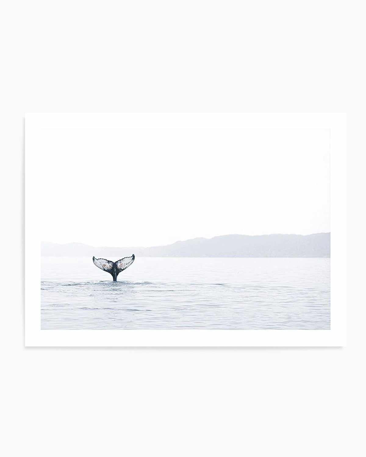 Whale Song Art Print