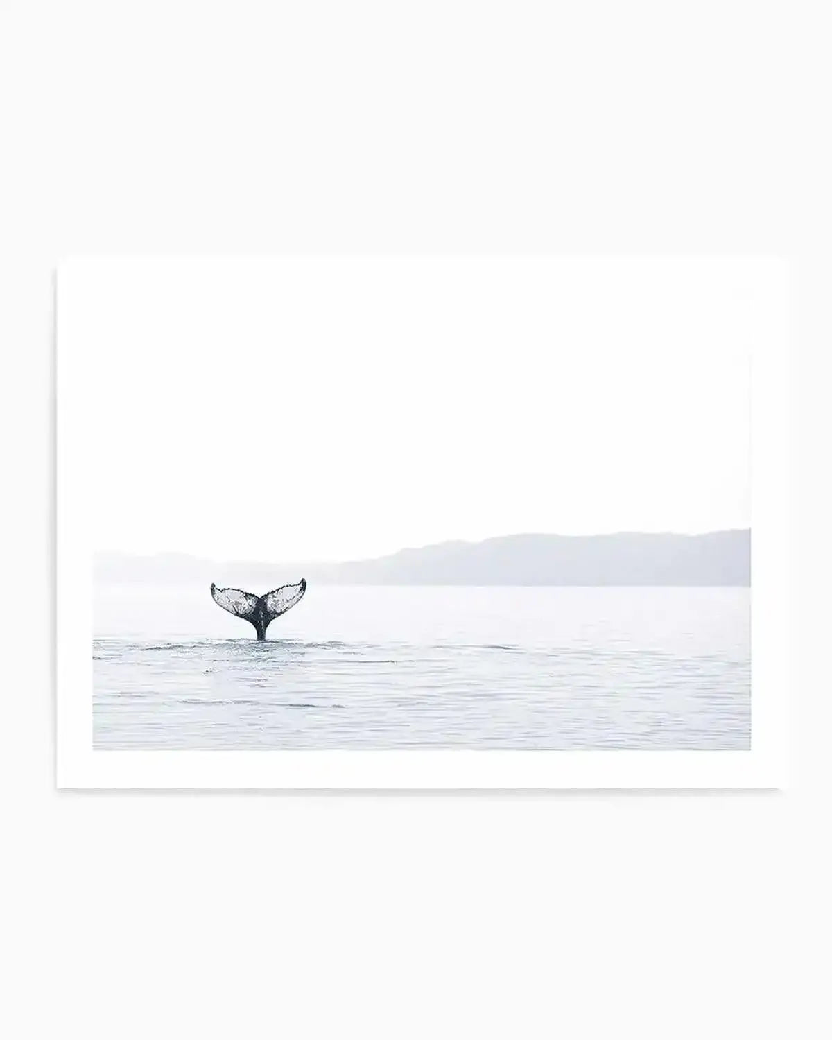 Whale Song Art Print from Olive et Oriel where you can shop wallpaper and artworks online