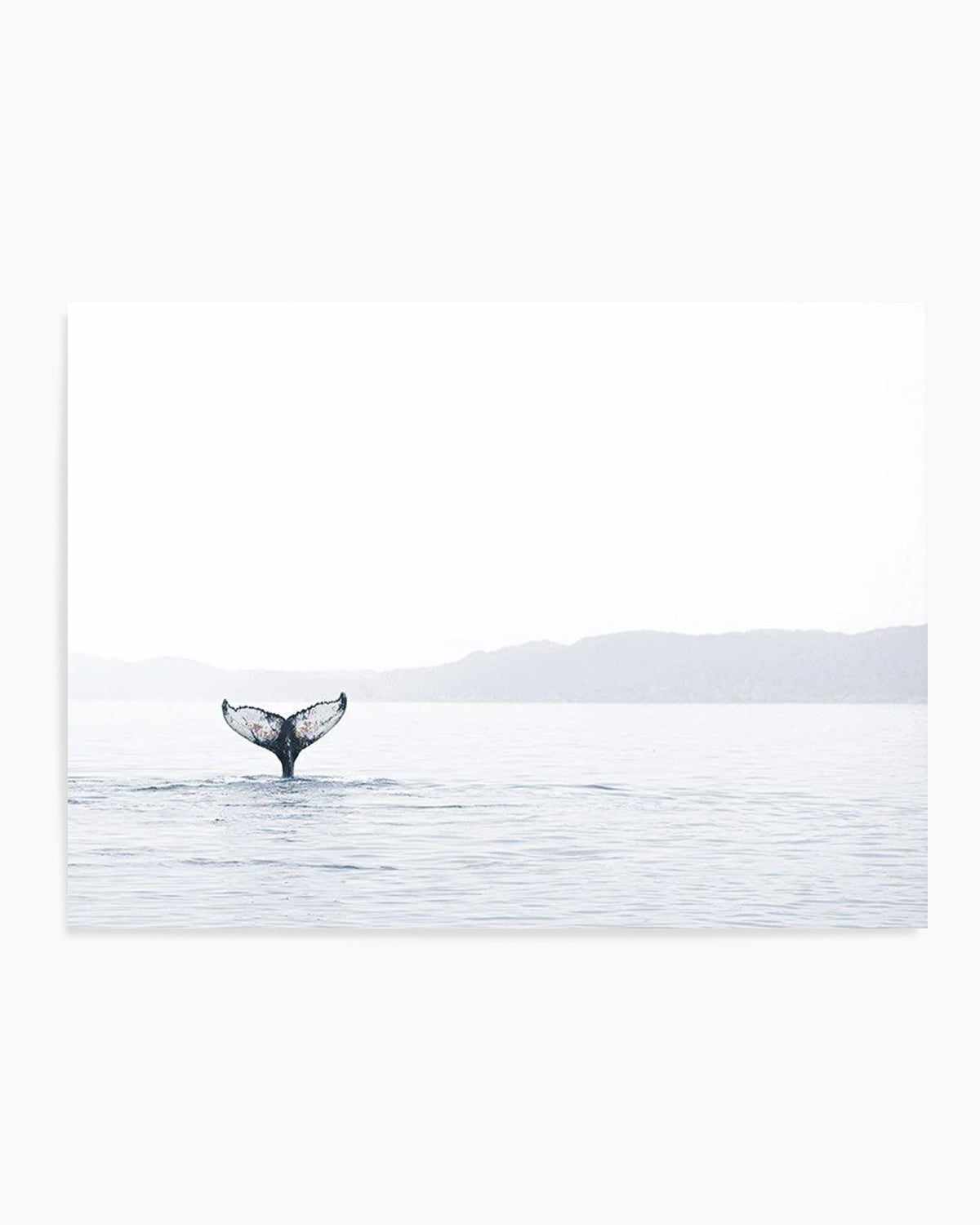 Whale Song Art Print