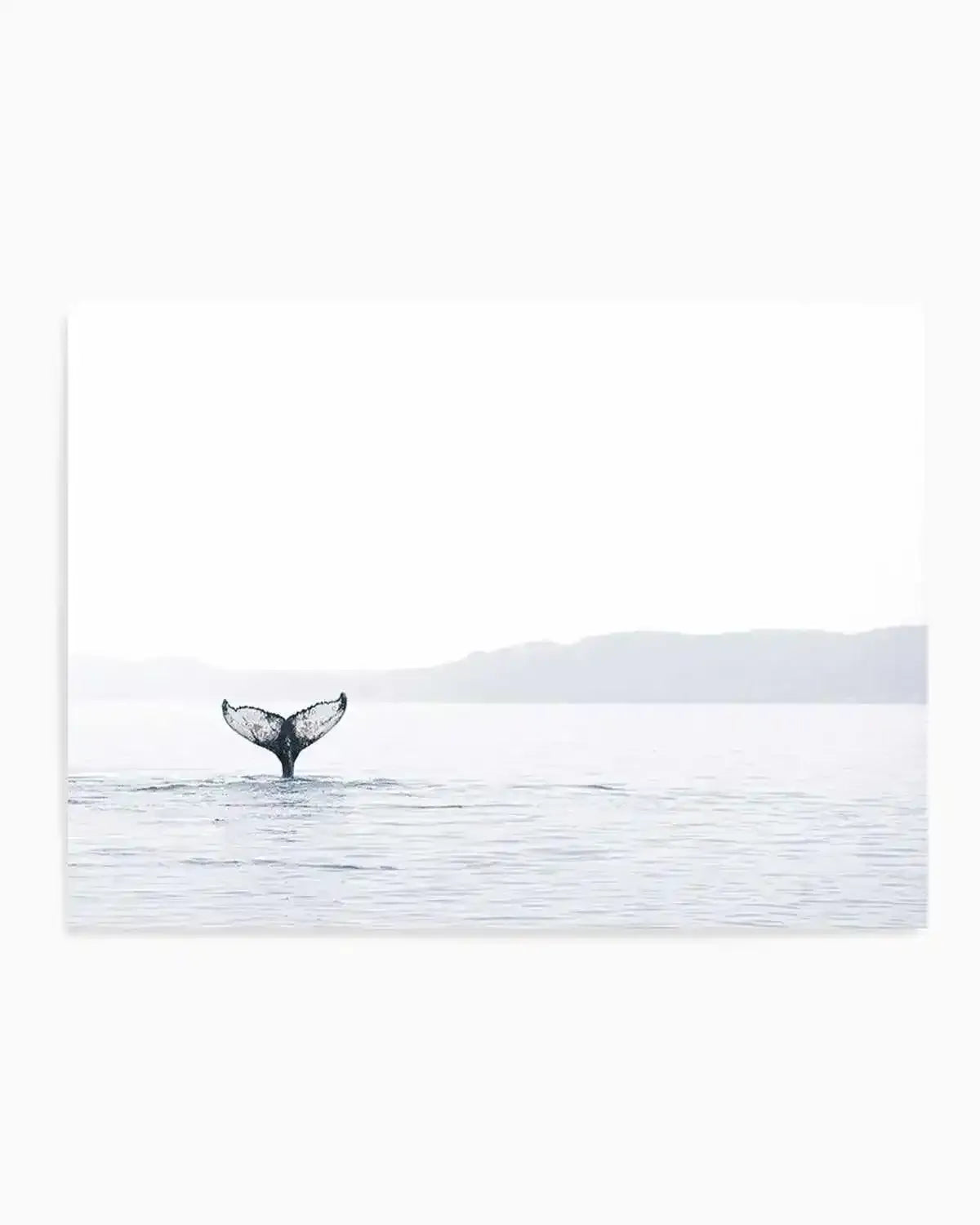 Whale Song Art Print from Olive et Oriel where you can shop wallpaper and artworks online