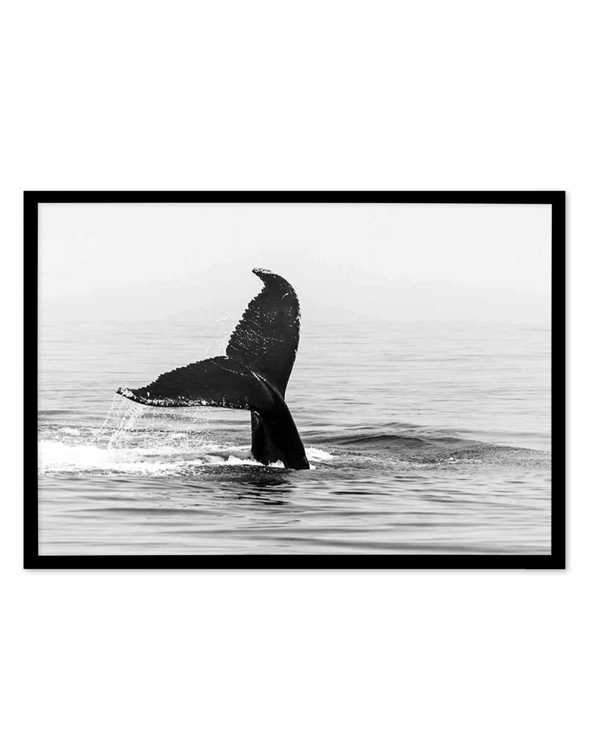 Whale Tail B&W | LS Art Print