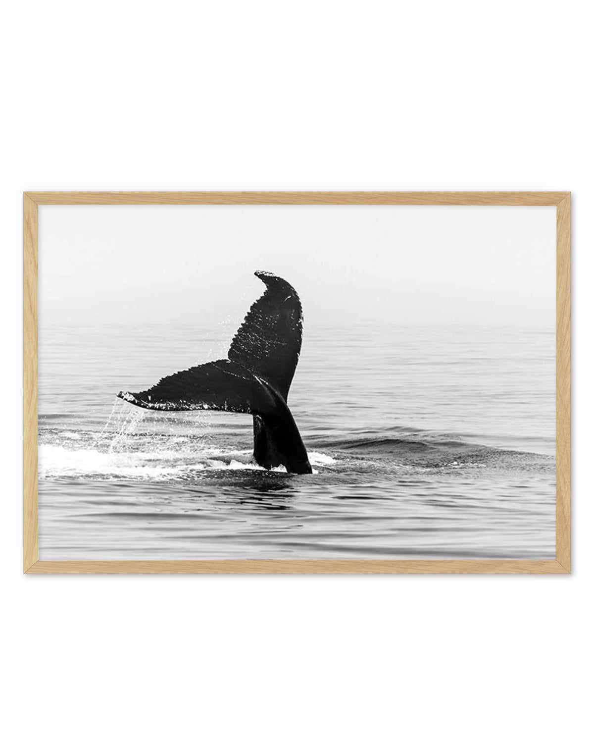 Whale Tail B&W | LS Art Print