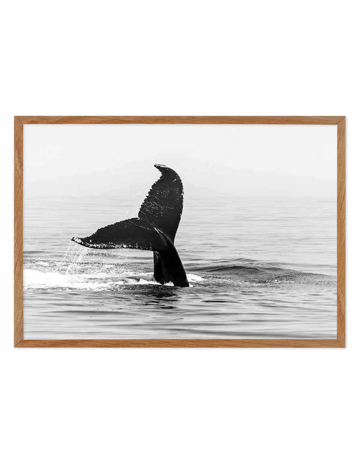 Whale Tail B&W | LS Art Print