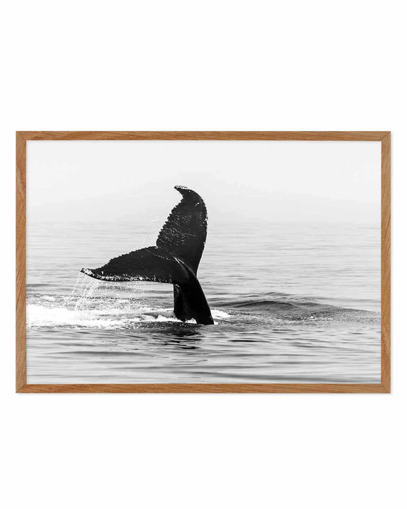 Whale Tail B&W | LS Art Print