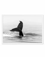 Whale Tail B&W | LS Art Print