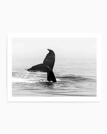 Whale Tail B&W | LS Art Print black & white blue nature art print